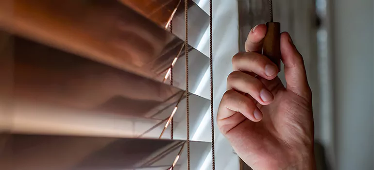 Double Roller Blinds in Palm Beach Gardens, FL