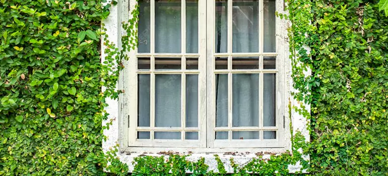 Garden Window Repair Near Me in Palm Beach Gardens, FL