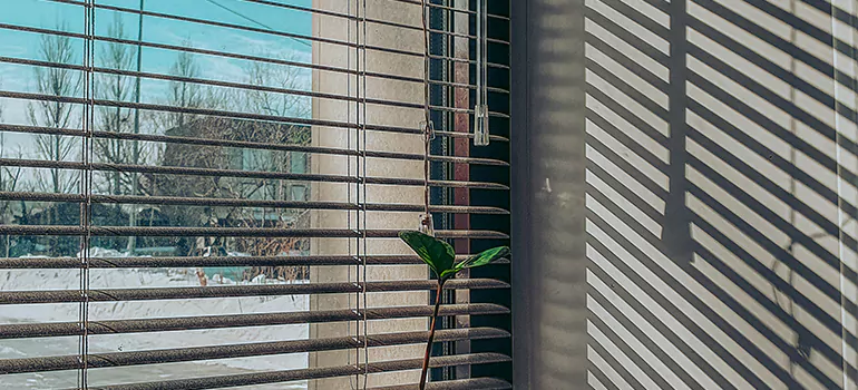 Commercial Window Blinds in Palm Beach Gardens, FL
